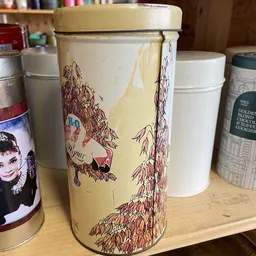 Close-up van een vintage blikken koekjestrommel met illustraties van jonge vrouwen en rozenbotels op een kast met andere huis