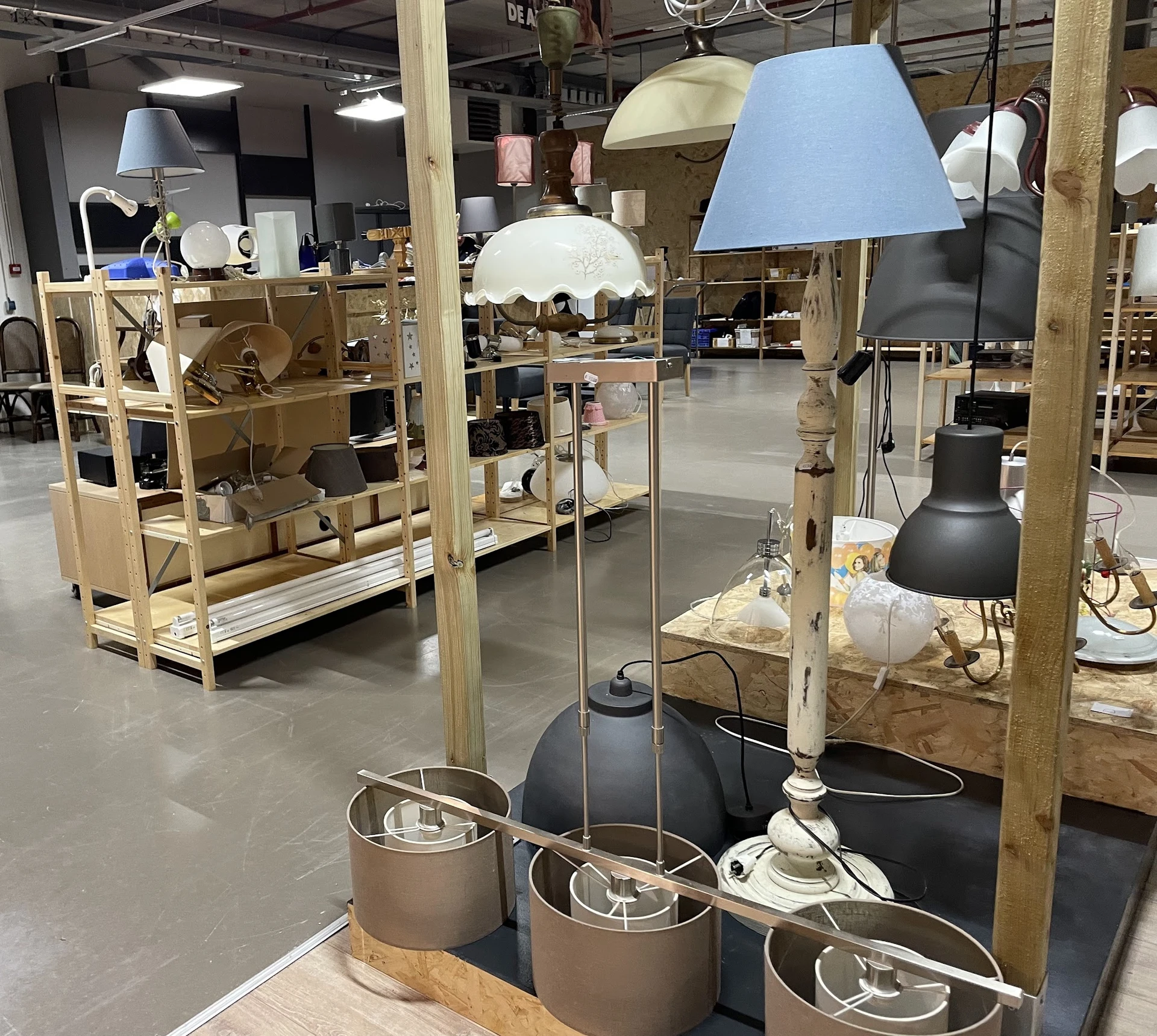 Uitgestalde lampen en verlichting in een kringloopwinkel, waaronder staande lampen met verschillende kleuren kapjes