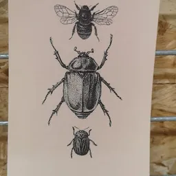 Bezoeker foto van Kringloop Regin's in Maastricht