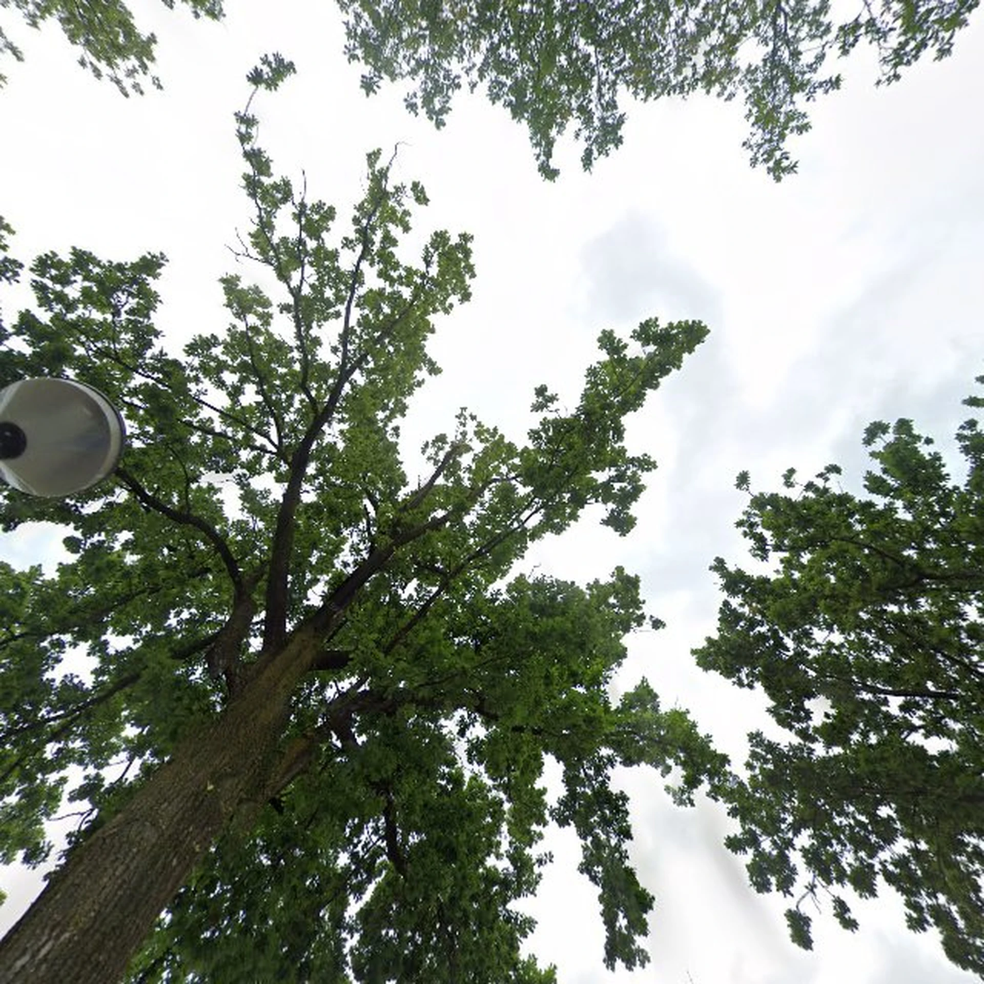 Kringloopwinkel Kringloop Renswoude in Renswoude