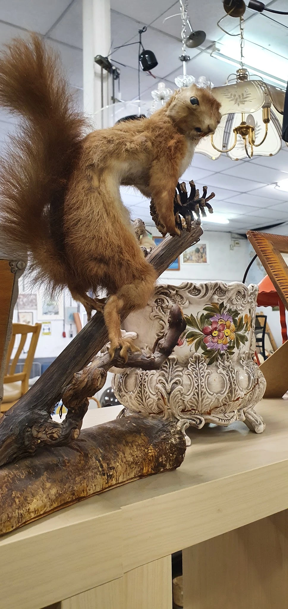 Taxidermie eekhoorn op tak boven decoratieve vaas met bloemenpatroon