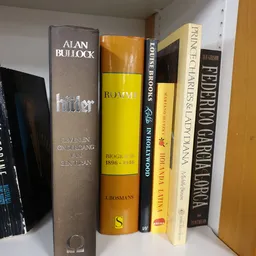 Rij boeken op een plank, waaronder titels van Alan Bullock, ROVVM en Federico García Lorca