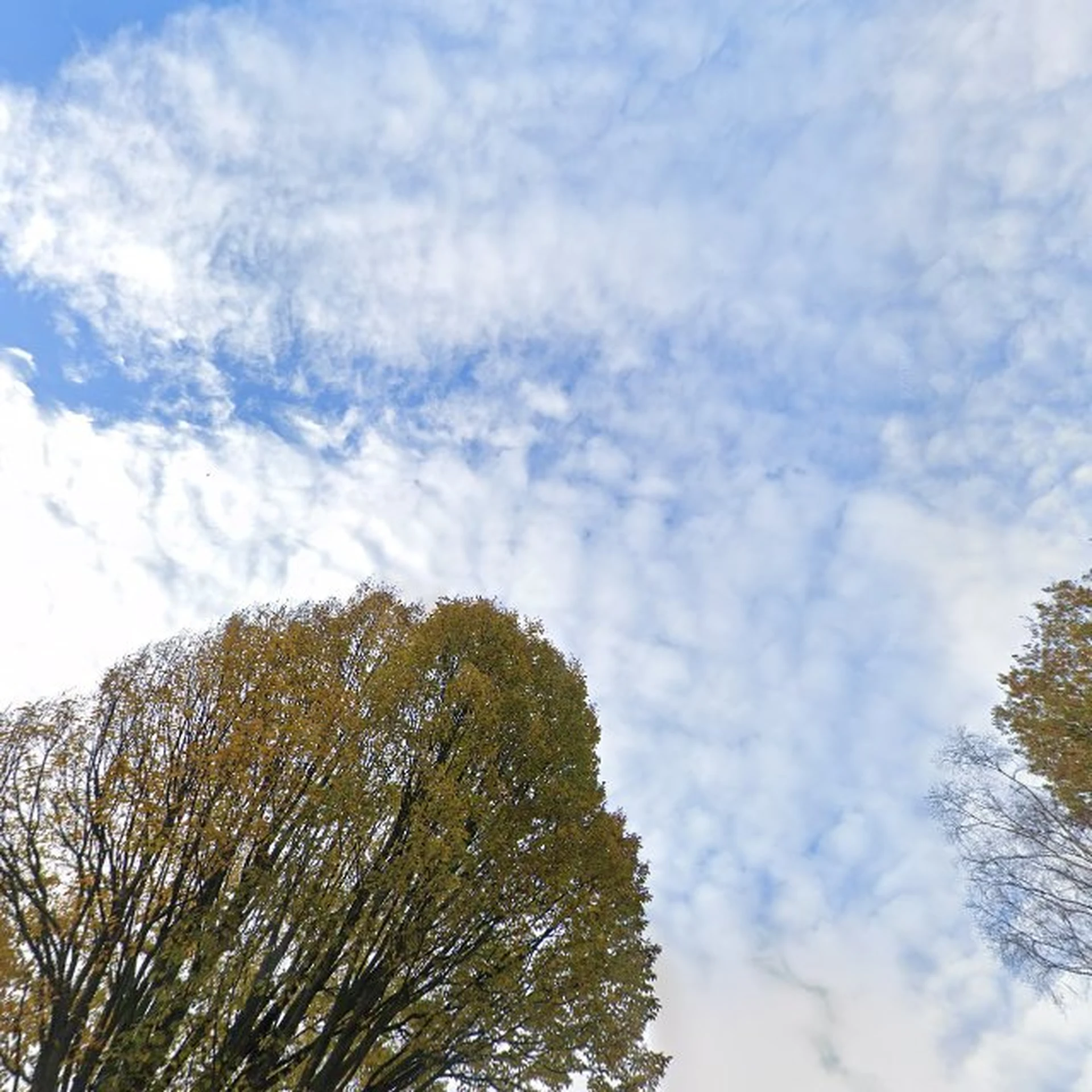 Kringloopwinkel Kringloop Tegen Armoede De Bilt in De Bilt
