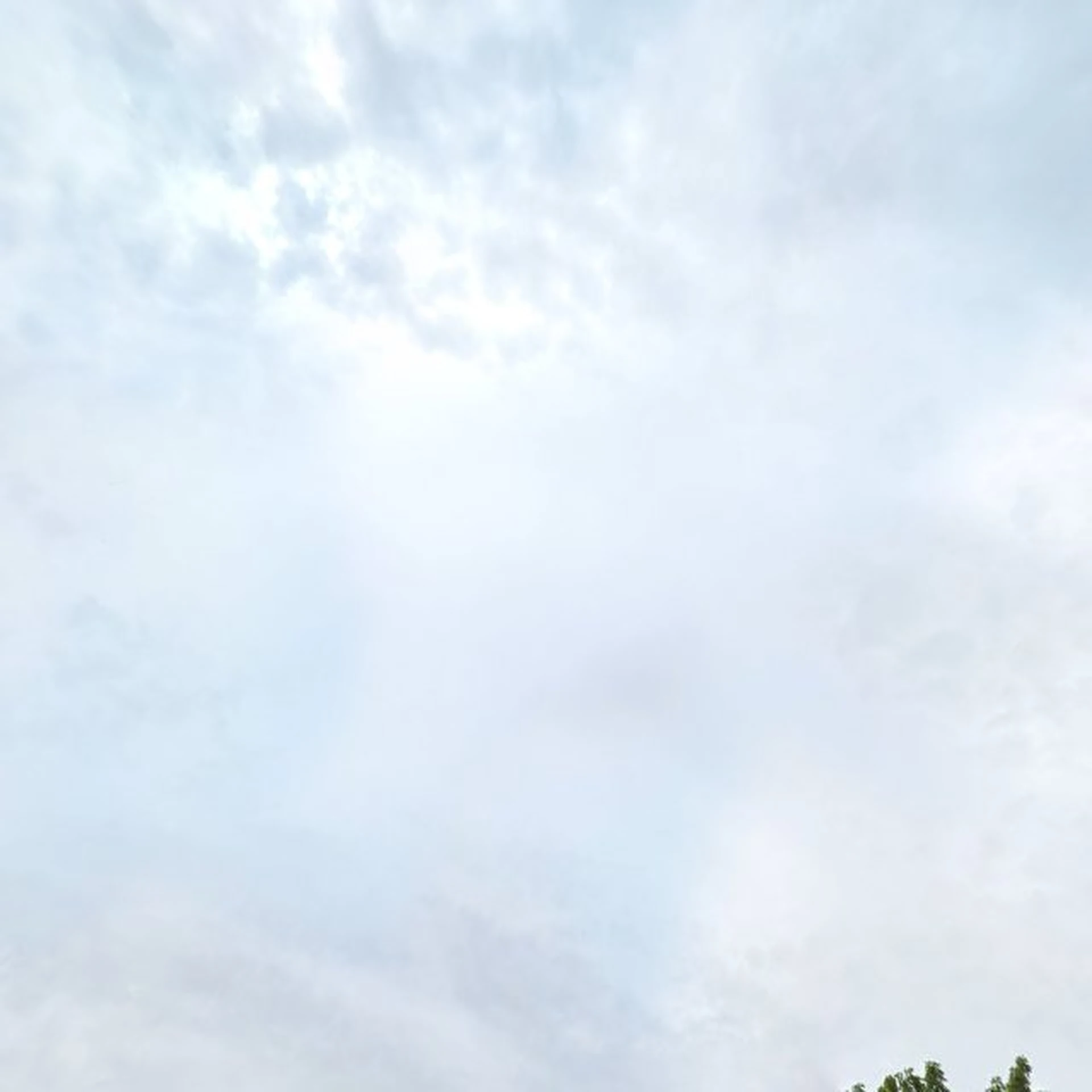 Kringloopwinkel Kringloop Terneuzen in Terneuzen