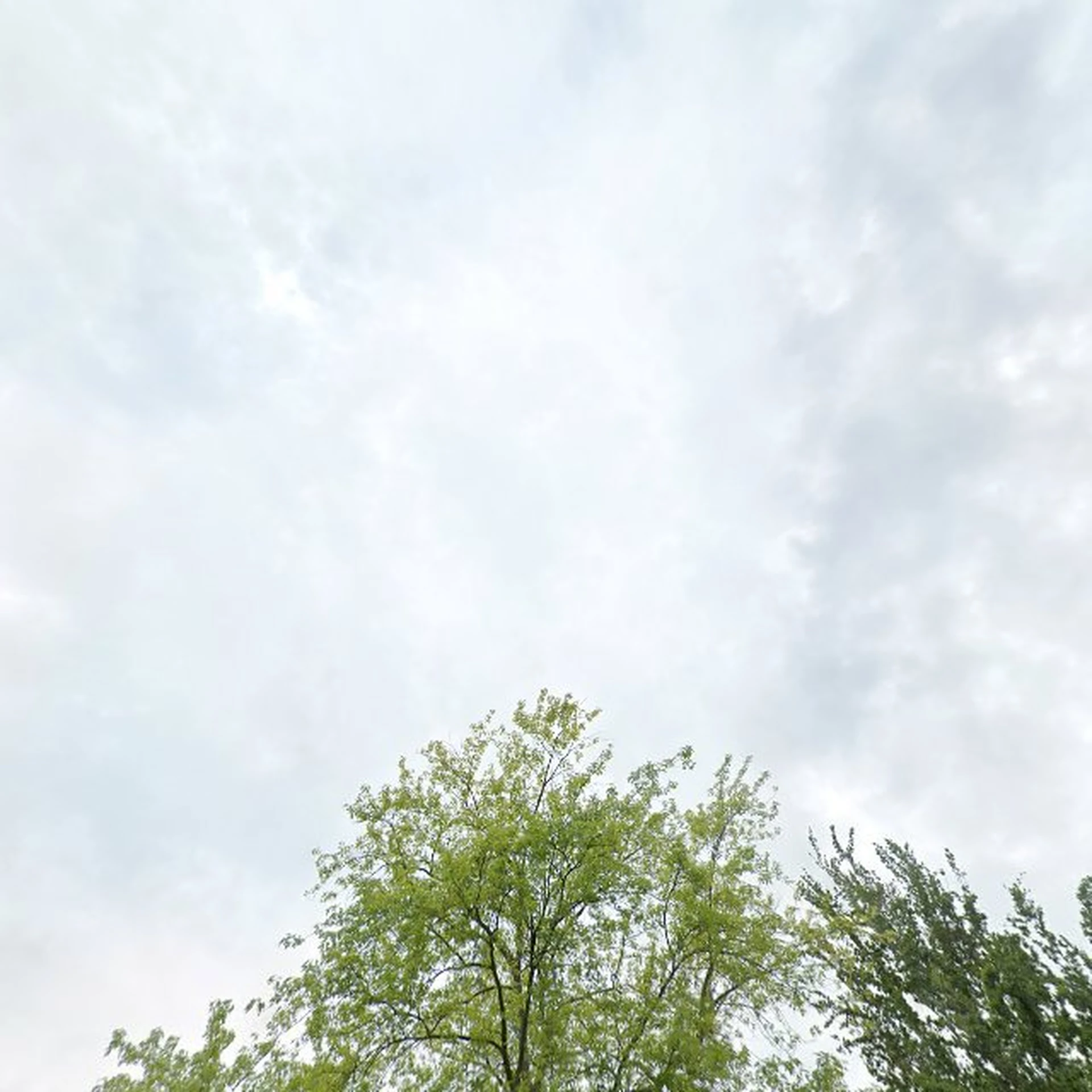 Kringloopwinkel Kringloop Terneuzen in Terneuzen