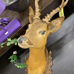 Bezoeker foto van Kringloop Tilburg in Tilburg