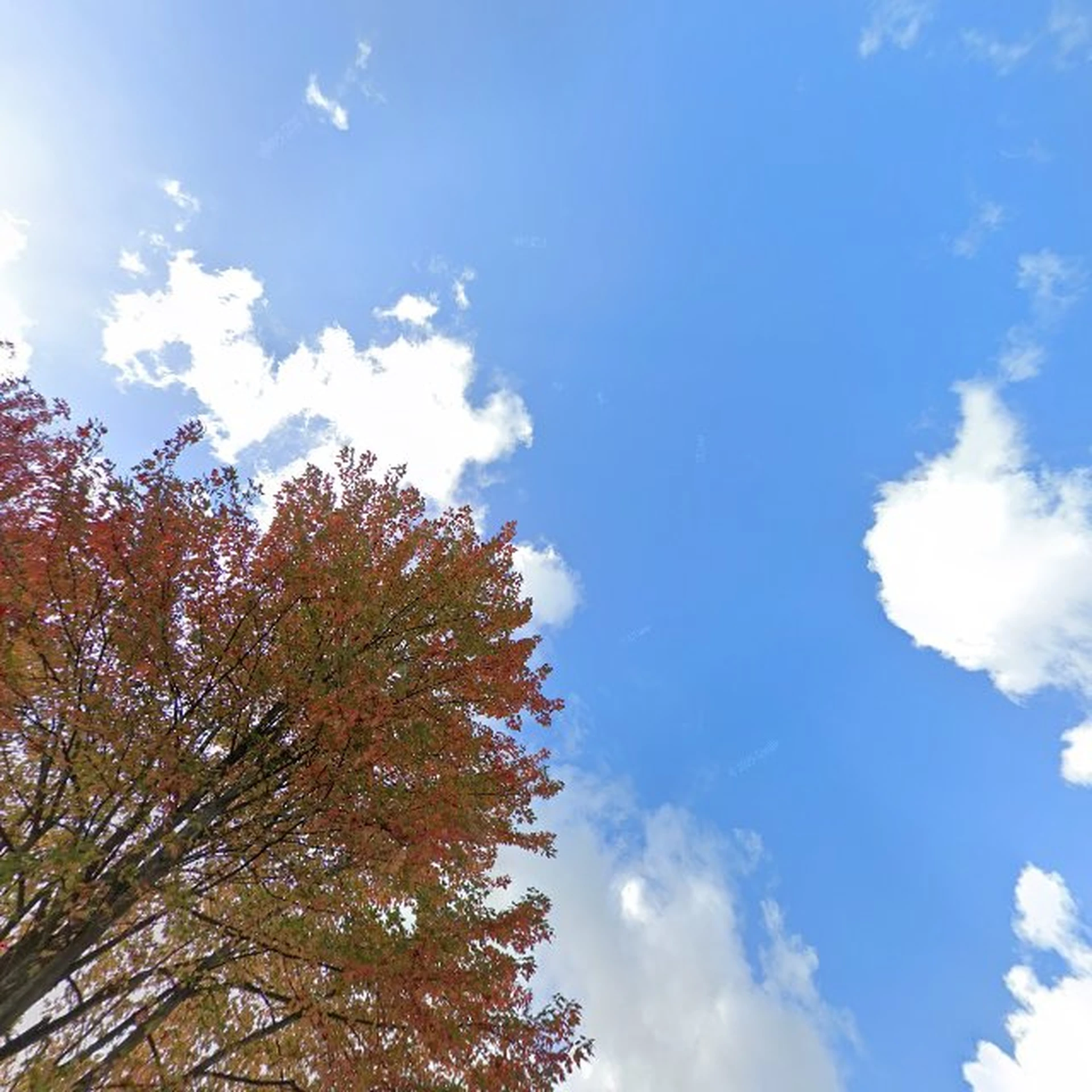 Kringloopwinkel Kringloop TVS in Zoeterwoude- Rijndijk