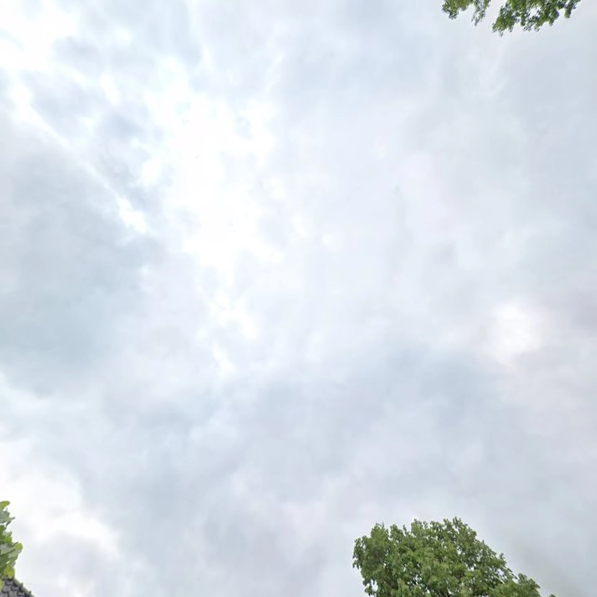 Kringloopwinkel Kringloop Veads in Schijndel