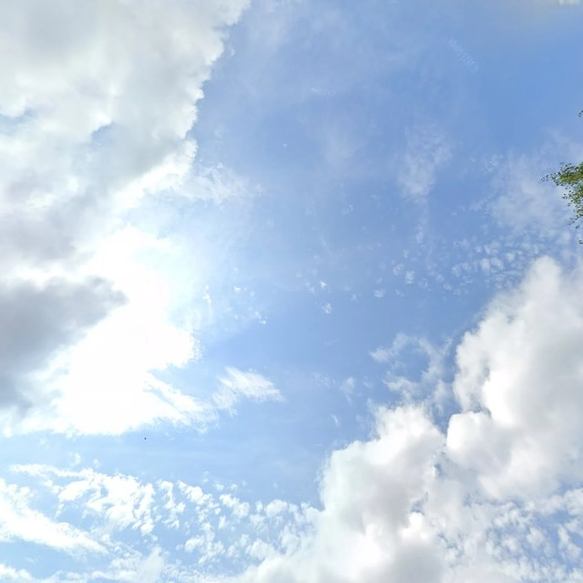 Kringloopwinkel Kringloop Vee in Ede