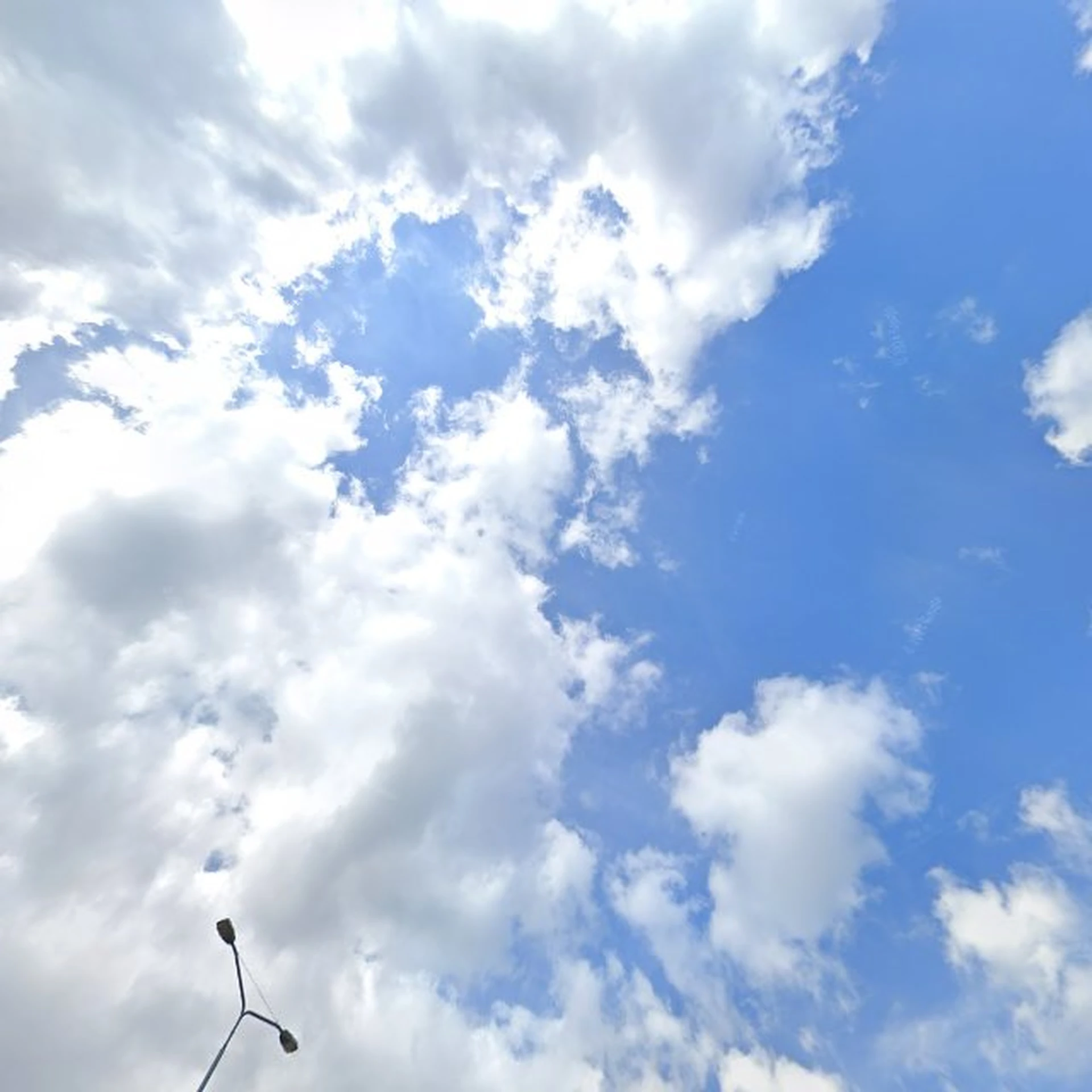 Kringloopwinkel Kringloop Vee Veenendaal in Veenendaal