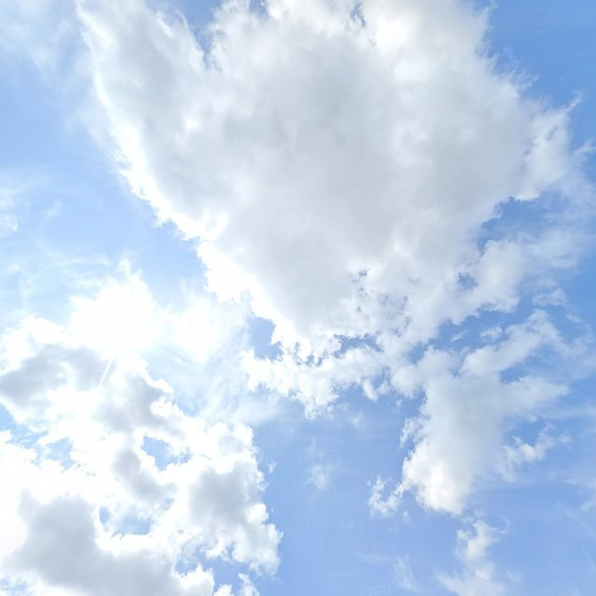 Kringloopwinkel Kringloop Velp - De 2e ronde in Velp