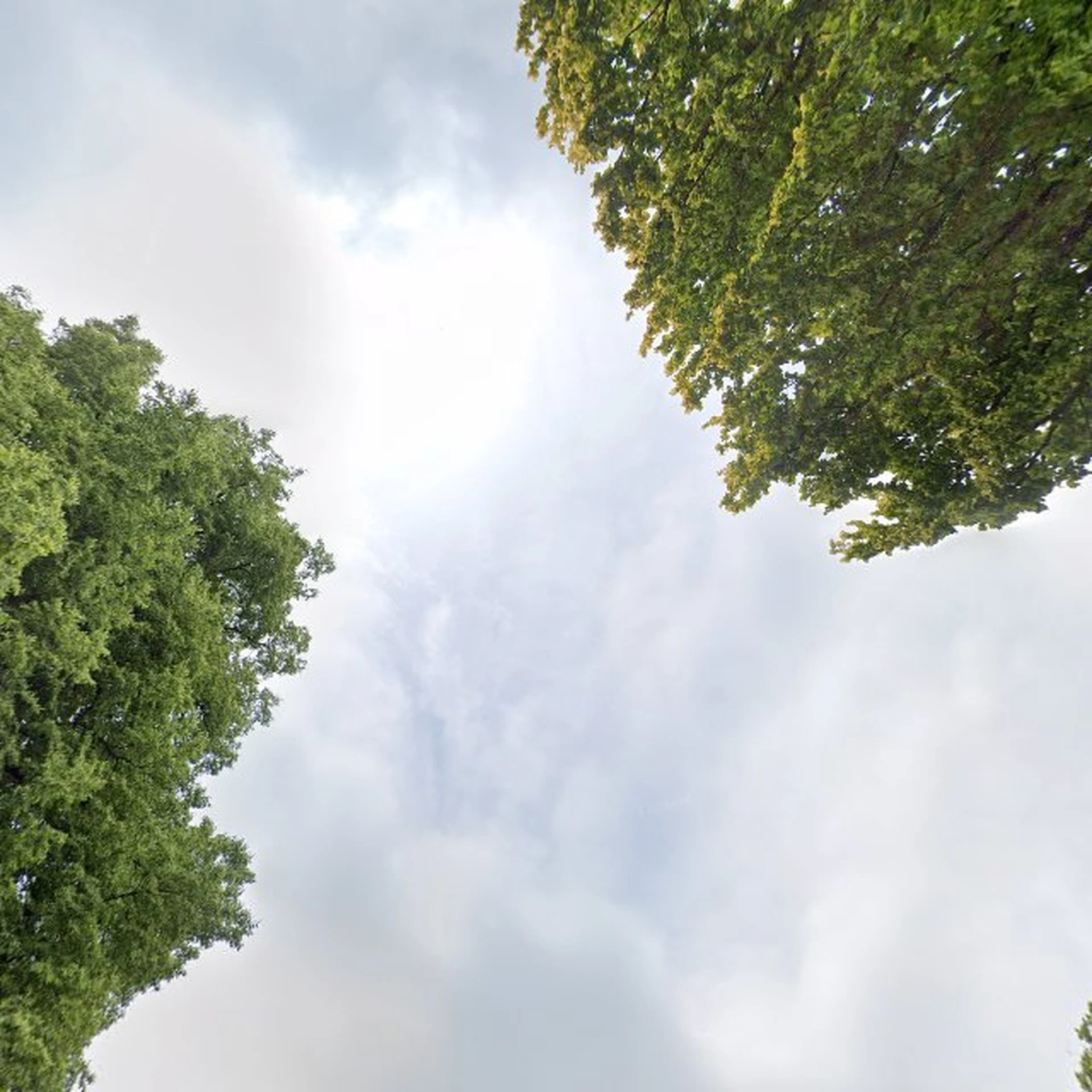 Kringloopwinkel Kringloop verkoopplaats Zwartewaterland in Nieuwleusen