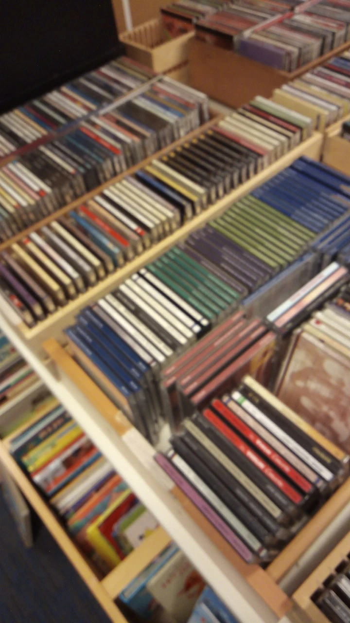 Rekken met cd's en dvd's gesorteerd op kleur in opbergdozen