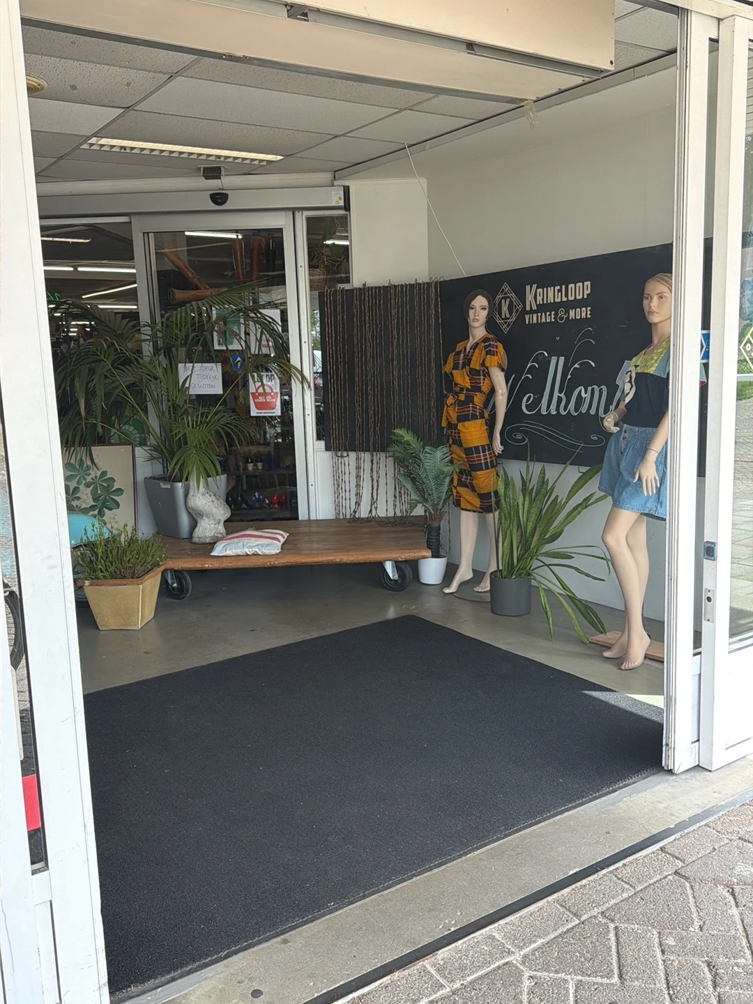 Winkelinterieur met etalagepop in gele jurk, houten bank, potplanten en zwarte achtergrondwand met opschrift.