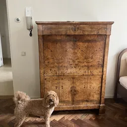 Antieke houten kast met geblokt patroon en een hond ernaast in de winkel