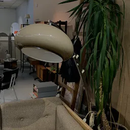 Bezoeker foto van Kringloop Vintage & More XL in Leiden