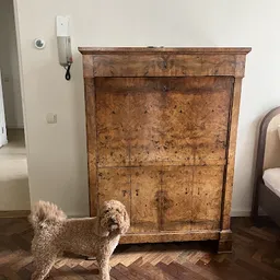 Bezoeker foto van Kringloop Vintage & More XL in Leiden