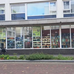 Winkelgevel met grote ramen waarin boekenkasten en vintage spullen zichtbaar zijn, met groene planten in bakken ervoor