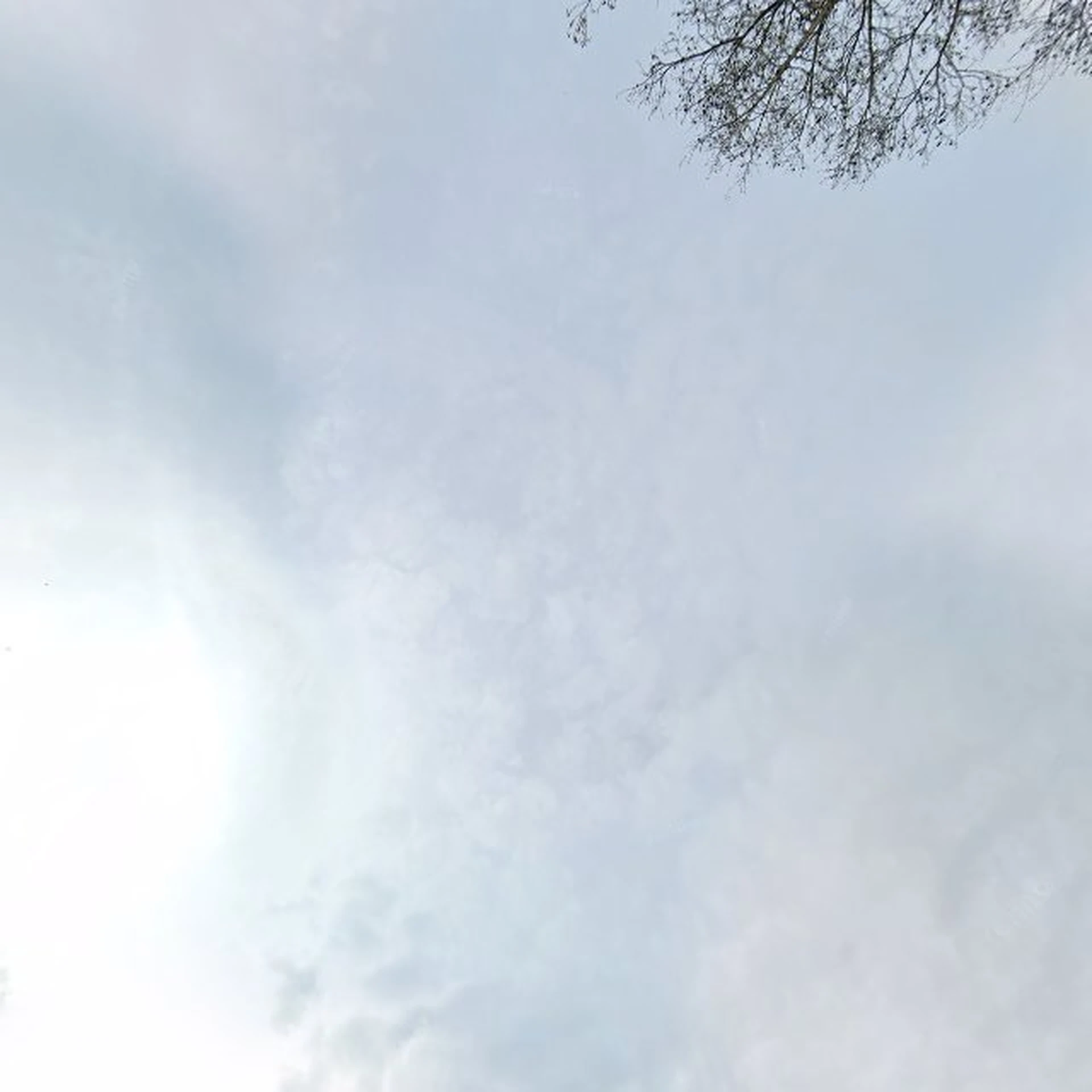 Kringloopwinkel Kringloop Vlaardingen in Vlaardingen