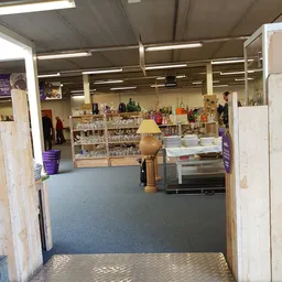 Winkelvloer van kringloopwinkel met stellingen vol spullen, lamp en display tegen achterwand