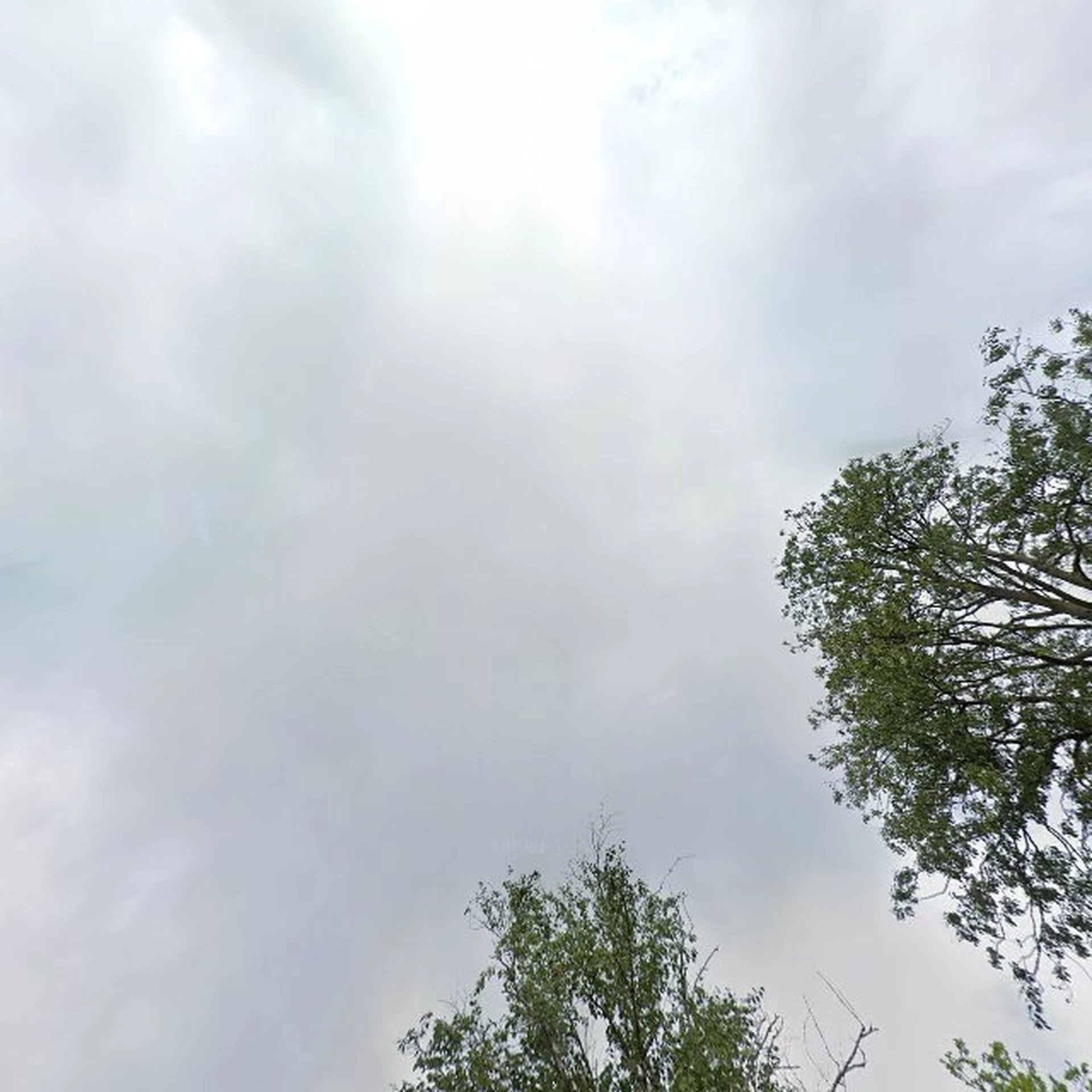 Kringloopwinkel Kringloop voor Red een Kind in Enschede