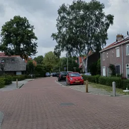 Straatscène met bakstenen huizen, geparkeerde auto's en bomen in een woonwijk