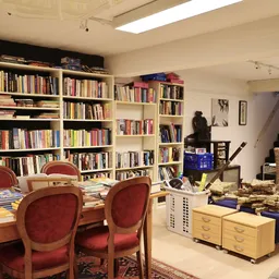 Boekenrekken vol tweedehands boeken, rode stoelen bij tafel, katvanger en diverse meubels in kringloopwinkel