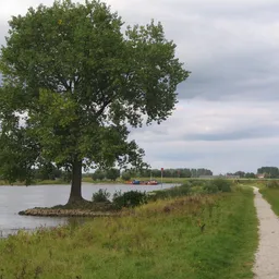 Landelijk polderlandschap met boom aan waterkanaal en zandpad