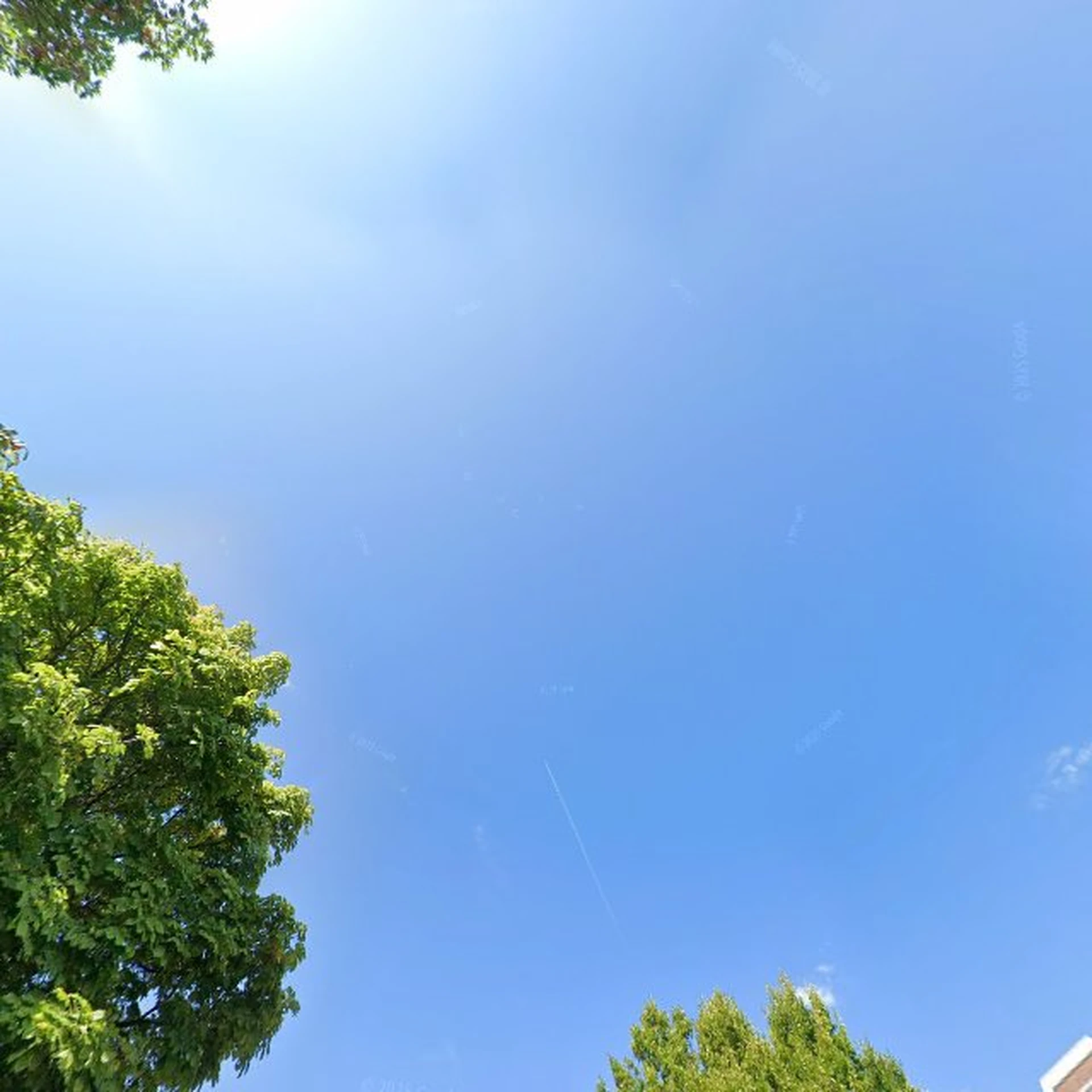 Kringloopwinkel Kringloop Wateringen - Kwintsheul in Wateringen