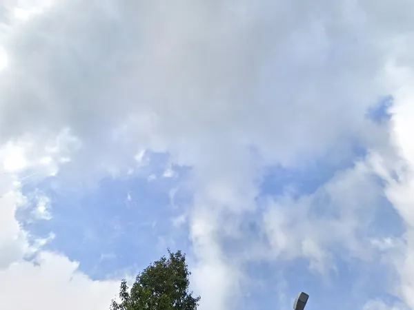 Kringloopwinkel Kringloop Wijk en Aalburg in Wijk en Aalburg