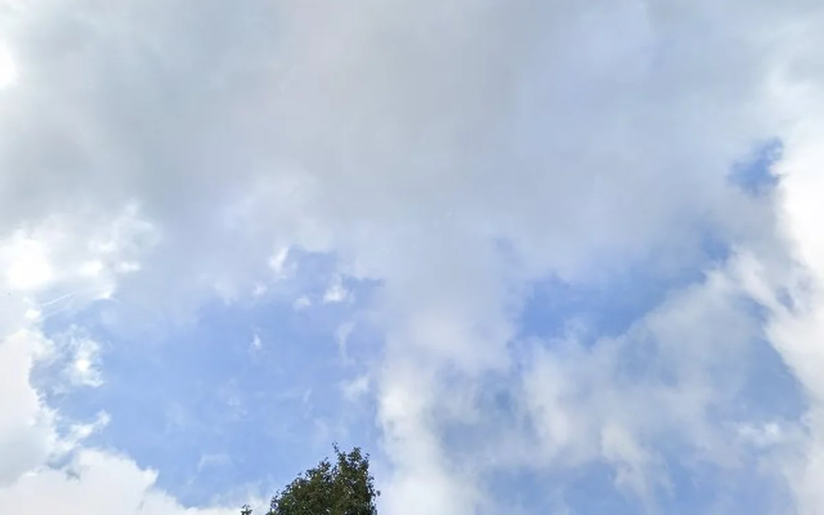 Kringloopwinkel Kringloop Wijk en Aalburg in Wijk en Aalburg