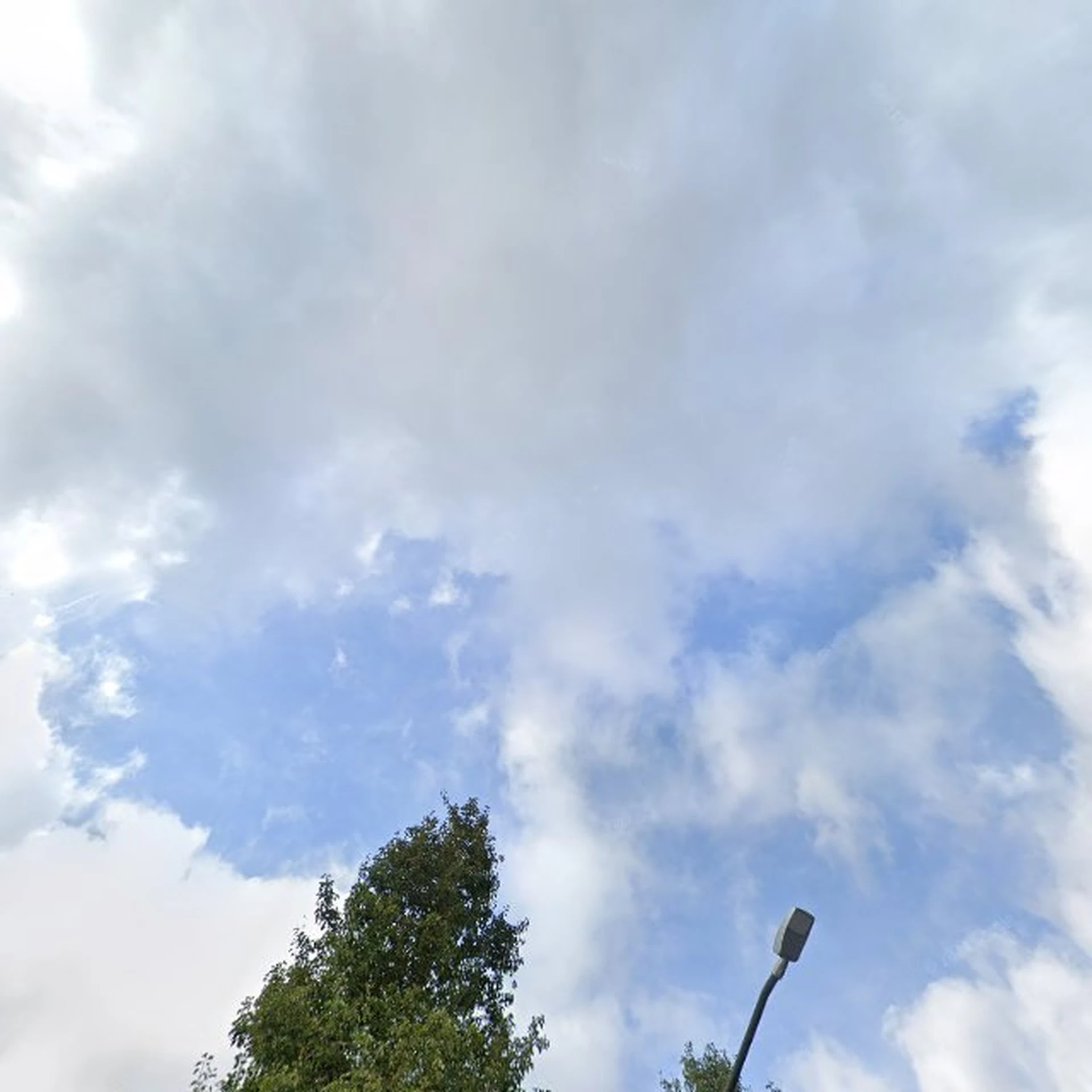 Kringloopwinkel Kringloop Wijk en Aalburg in Wijk en Aalburg