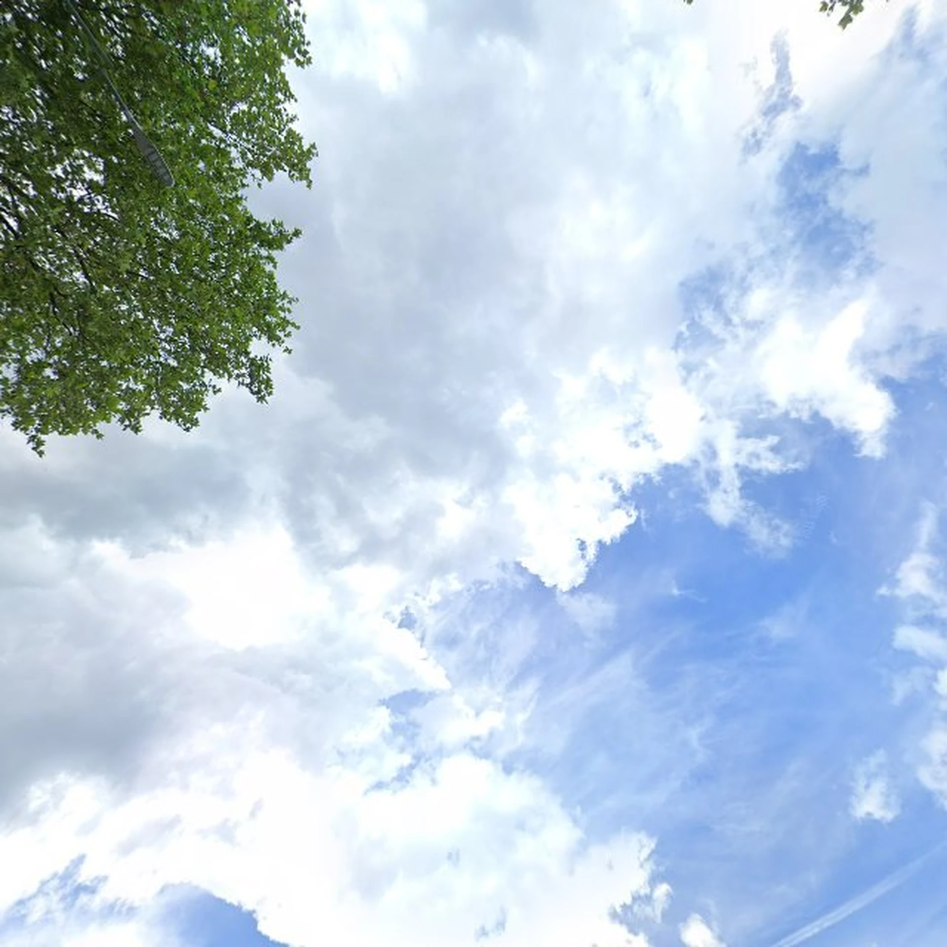 Kringloopwinkel Kringloop Winschoten in Winschoten