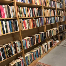 Houten boekenkast met honderden tweedehands boeken en dvd's netjes uitgestald op meerdere planken
