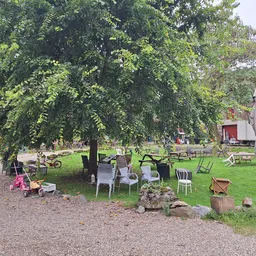 Terras met tafels en stoelen onder grote boom in groene tuin, met gebouwen op achtergrond
