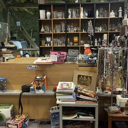 Toonbank en stellingen met tweedehands artikelen, sieraden, boeken en decoratieve voorwerpen