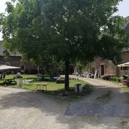 Buitenterrein met oude bakstenen gebouwen, grasveld, grote bomen en picknicktafels onder parasols