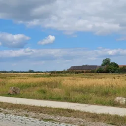 Landelijk polderlandschap met weiland, enkele gebouwen in de verte en bewolkte hemel