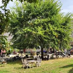 Zithoek met tafels en stoelen onder grote bomen op een grasveld naast een pand met donker dak