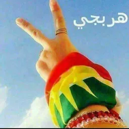 Hand met Koerdische vlag; Arabische tekst bovenaan
