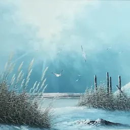 Bezoeker foto van Kringloop Zuid in Maastricht