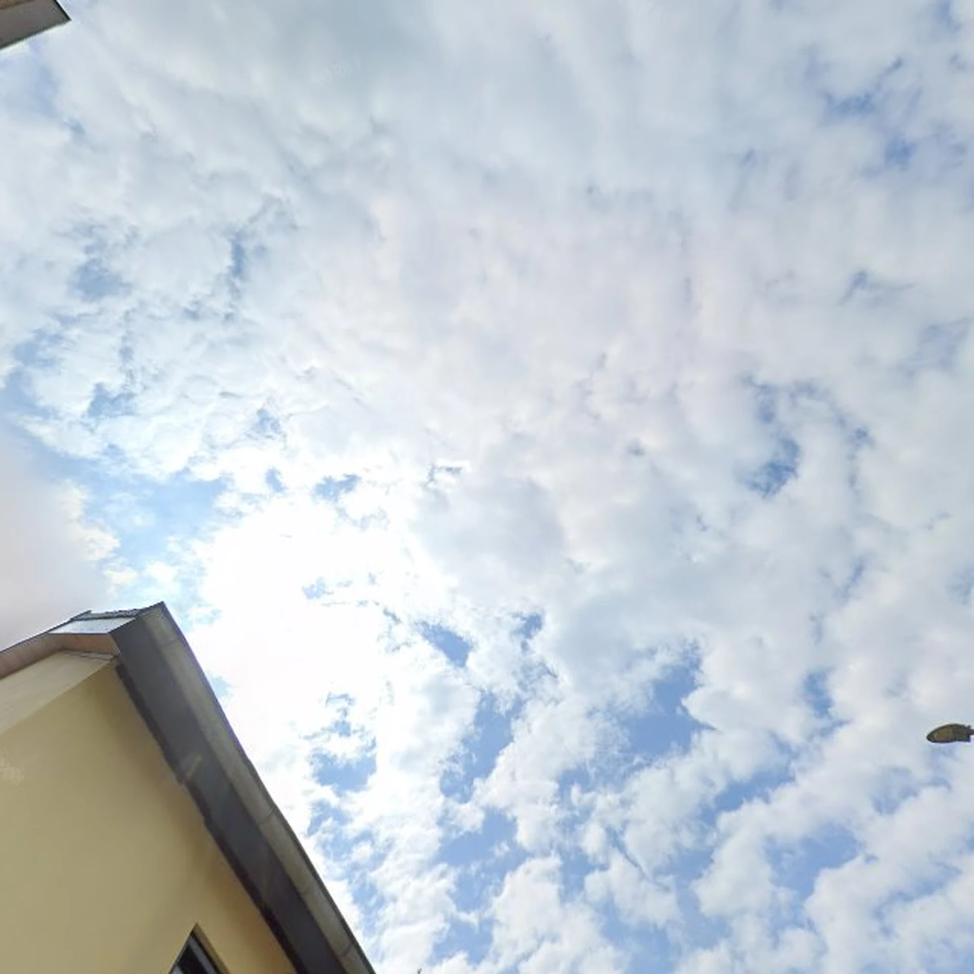 Kringloopwinkel Kringloop Zuid in Valkenburg