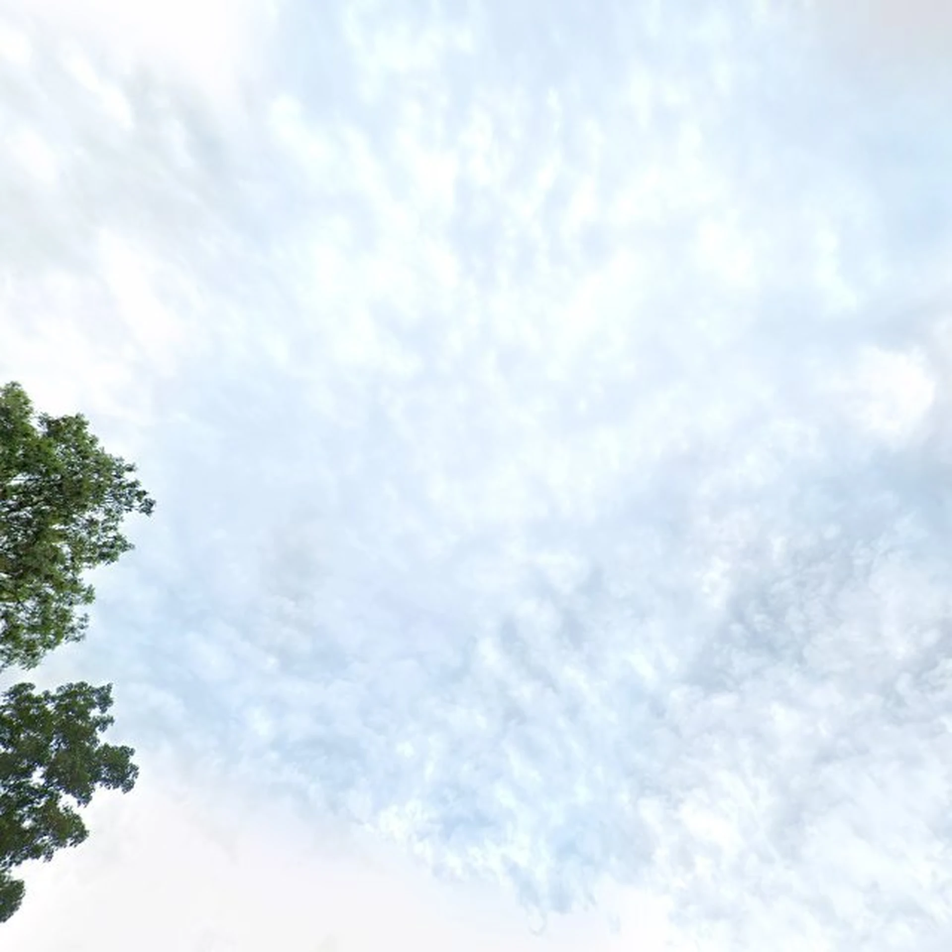 Kringloopwinkel Kringloopbedrijf de Beurs in Losser