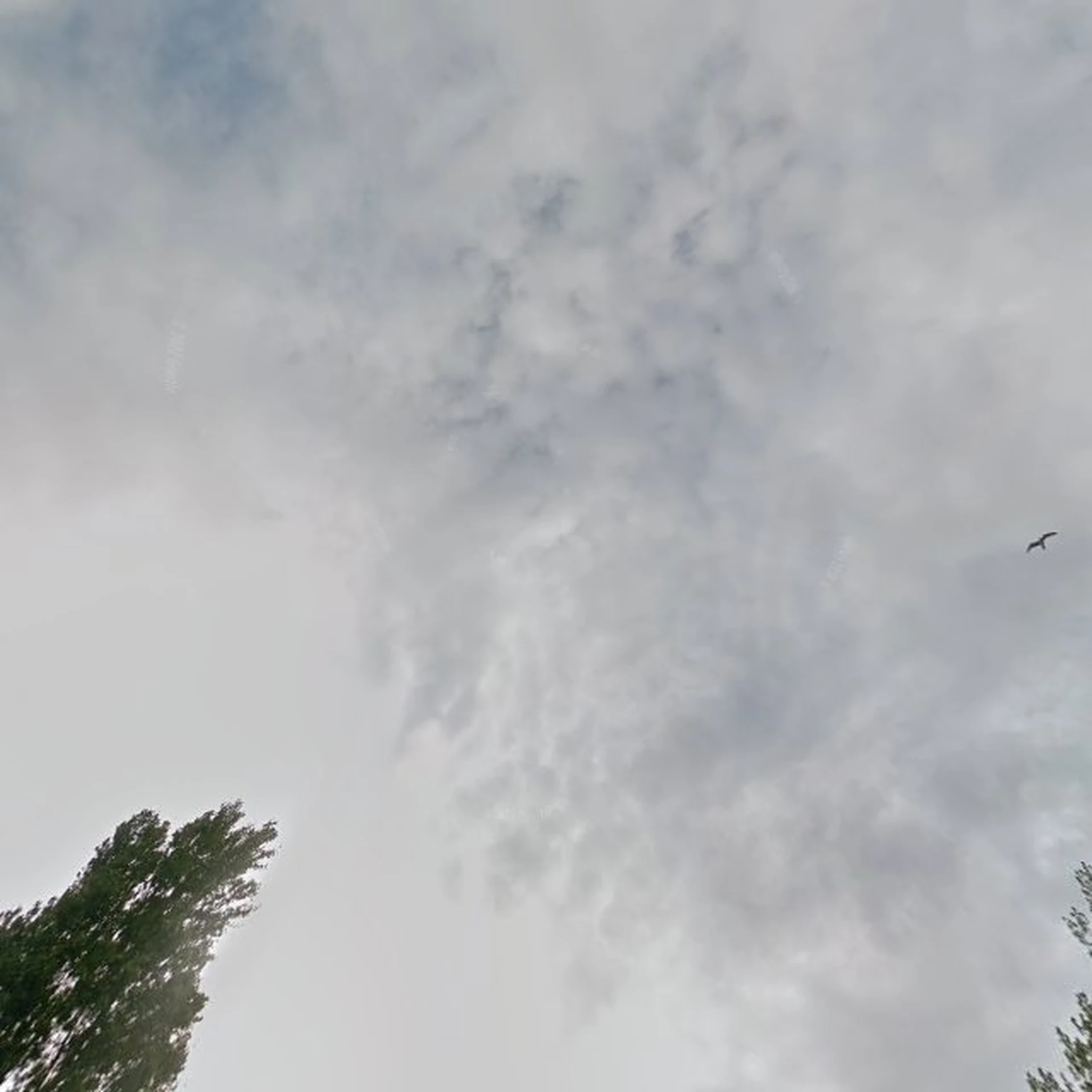 Kringloopwinkel Kringloopbedrijf Het Boelhuys in Den Helder