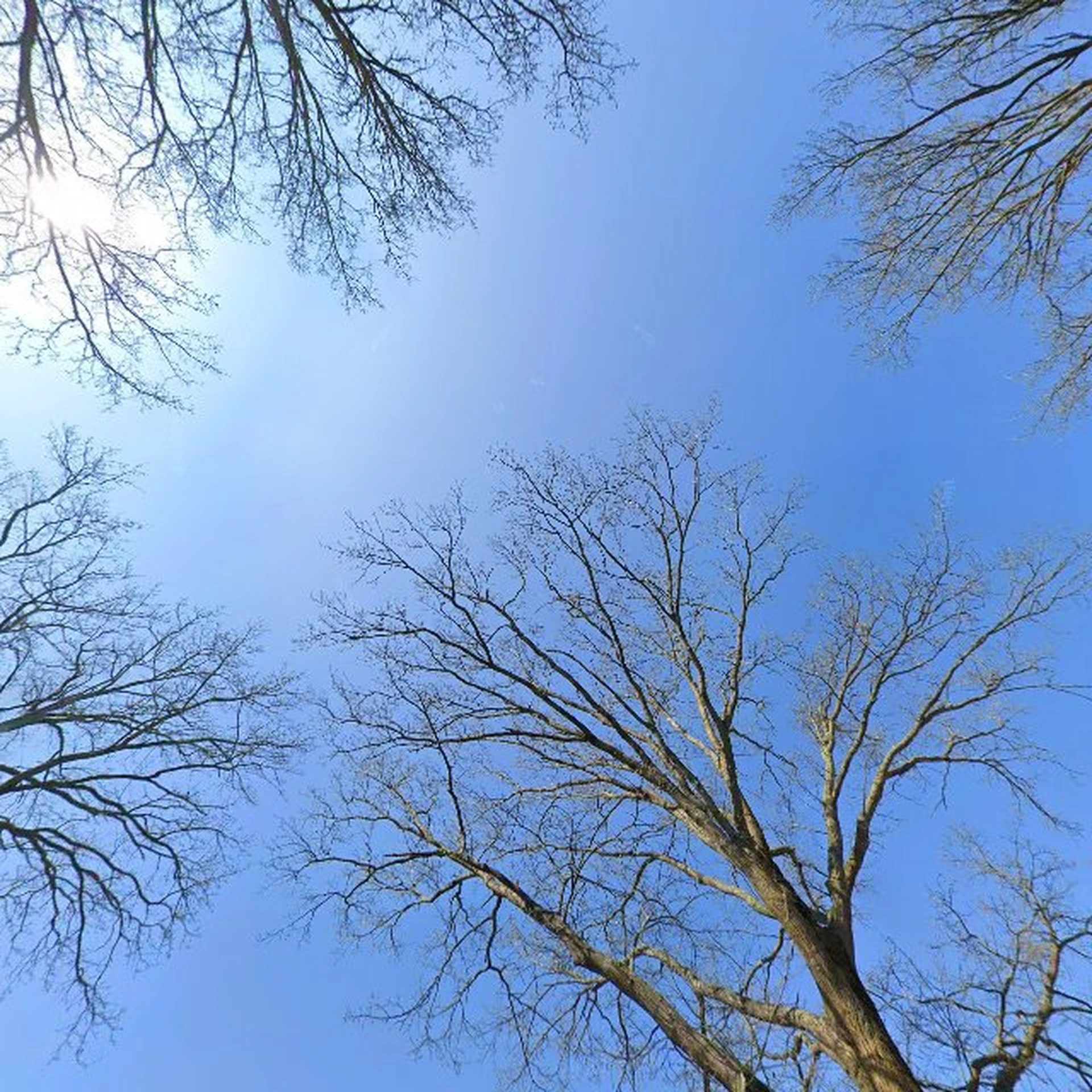 Kringloopwinkel Kringloopbedrijf Oss in Oss