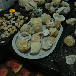 Bezoeker foto van Kringloopbedrijf Tol in Egmond aan den Hoef