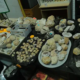 Bezoeker foto van Kringloopbedrijf Tol in Egmond aan den Hoef