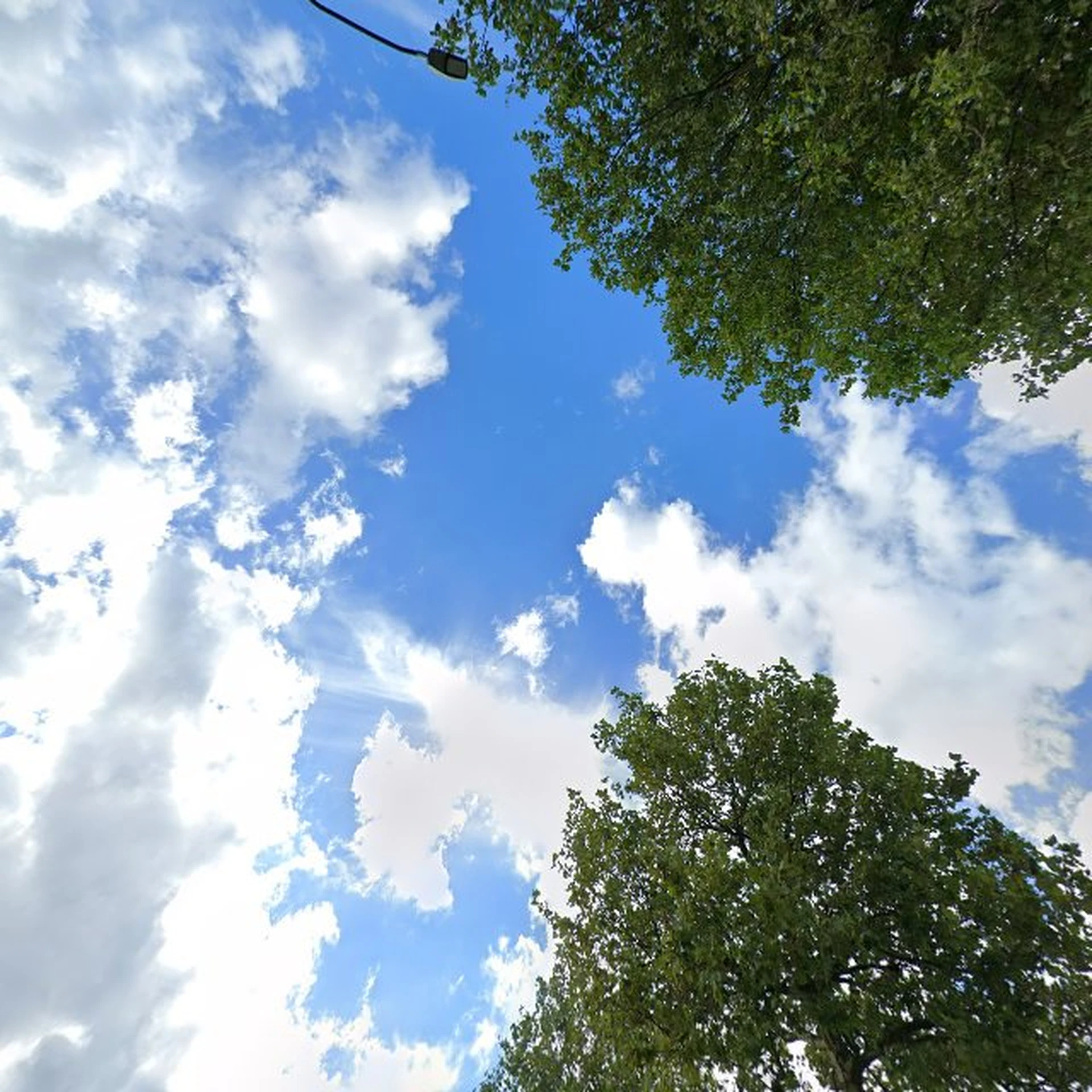 Kringloopwinkel Kringloopcentrum Alblasserdam in Alblasserdam