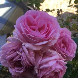 Bezoeker foto van Kringloopcentrum Altena in Almkerk