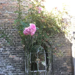 Bezoeker foto van Kringloopcentrum Altena in Almkerk